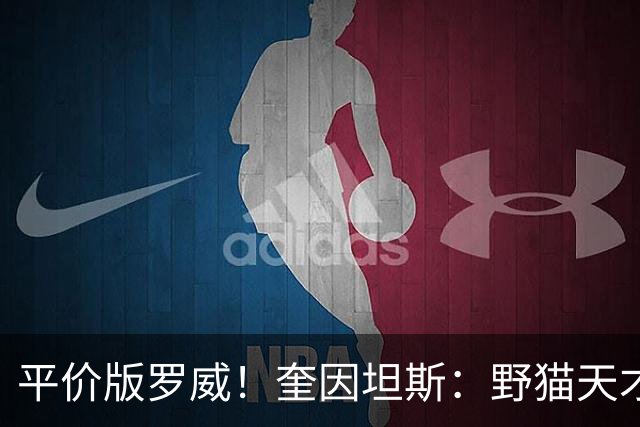 平价版罗威！奎因坦斯：野猫天才内线 存伤病隐患 罚球致敬米切罗